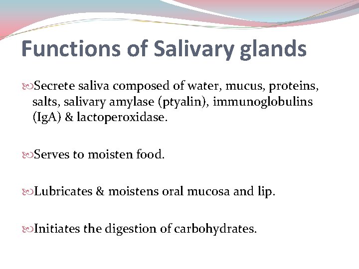 Functions of Salivary glands Secrete saliva composed of water, mucus, proteins, salts, salivary amylase