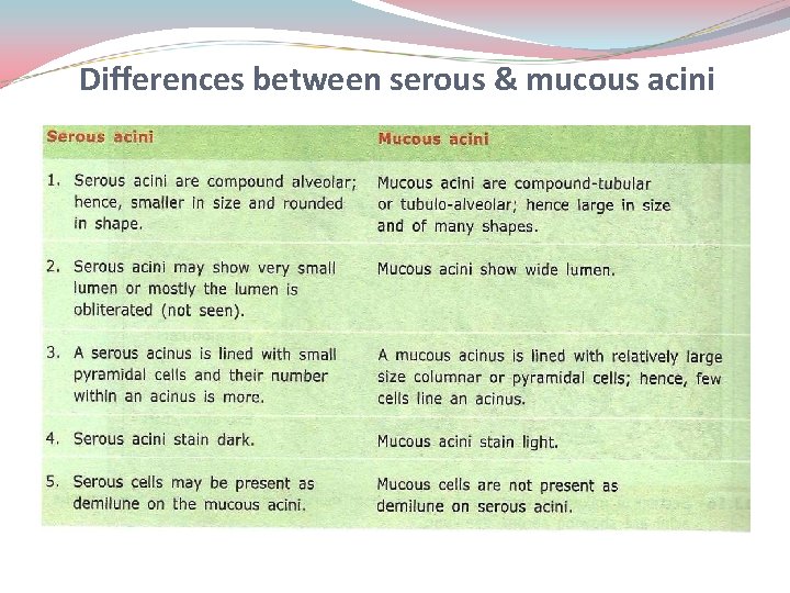 Differences between serous & mucous acini 