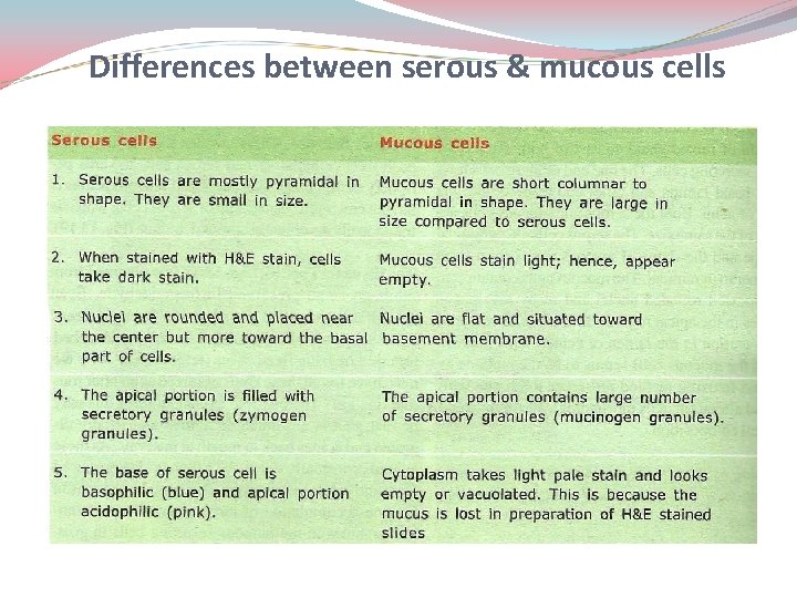 Differences between serous & mucous cells 