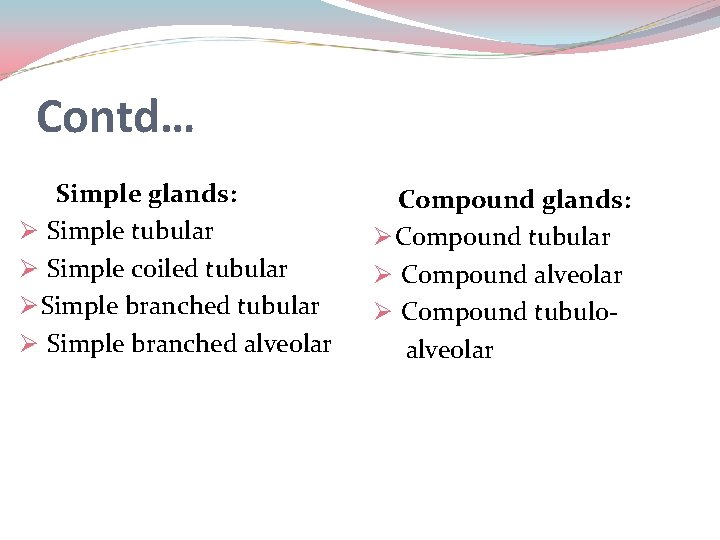 Contd… Simple glands: Ø Simple tubular Ø Simple coiled tubular Ø Simple branched alveolar