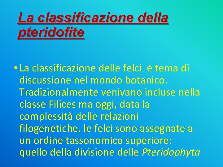 La classificazione della pteridofite • La classificazione delle felci è tema di discussione nel