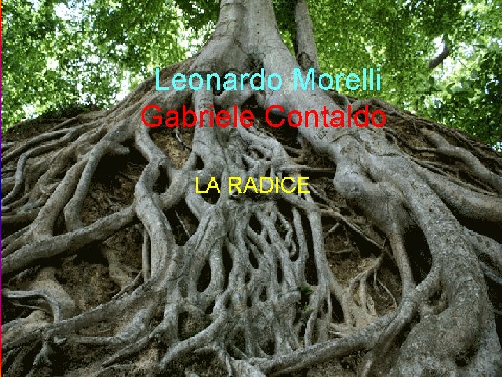  Leonardo Morelli Gabriele Contaldo LA RADICE 