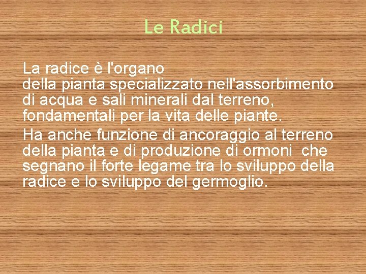 Le Radici La radice è l'organo della pianta specializzato nell'assorbimento di acqua e sali