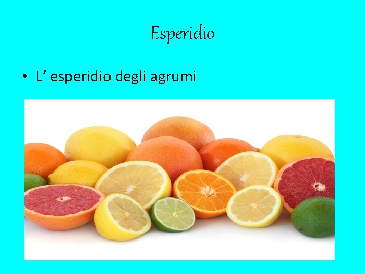Esperidio • L’ esperidio degli agrumi 