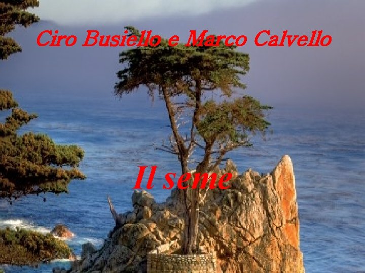 Ciro Busiello e Marco Calvello Il seme 