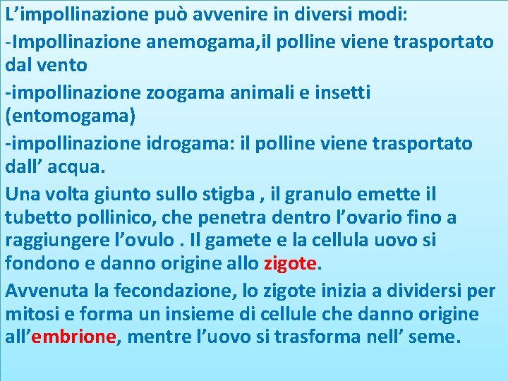 L’impollinazione può avvenire in diversi modi: -Impollinazione anemogama, il polline viene trasportato dal vento