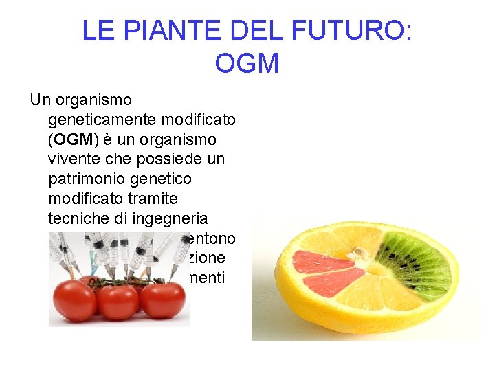 LE PIANTE DEL FUTURO: OGM Un organismo geneticamente modificato (OGM) è un organismo vivente