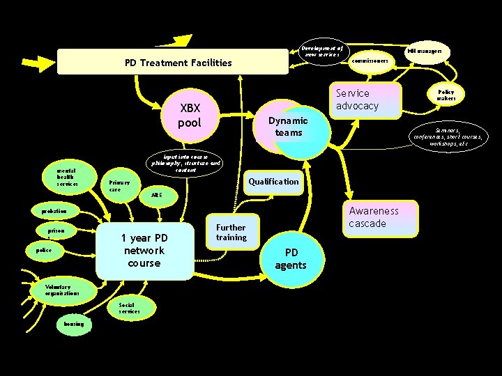 Development of new services PD Treatment Facilities Dynamic teams Primary care Qualification A&E Awareness