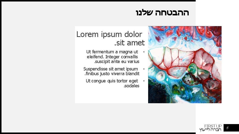  ההבטחה שלנו Lorem ipsum dolor. sit amet Ut fermentum a magna ut •