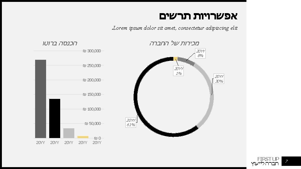  אפשרויות תרשים . Lorem ipsum dolor sit amet, consectetur adipiscing elit הכנסה ברוטו