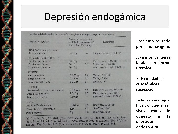 Depresión endogámica Problema causado por la homocigosis Aparición de genes letales en forma recesiva