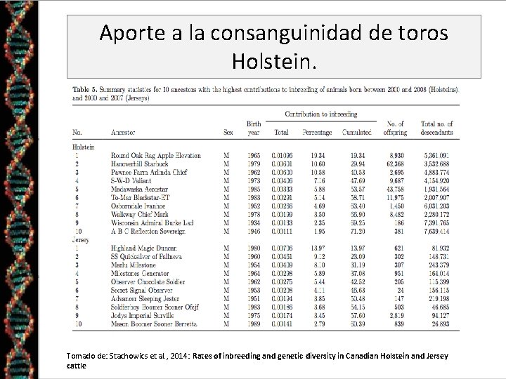 Aporte a la consanguinidad de toros Holstein. Tomado de: Stachowics et al. , 2014:
