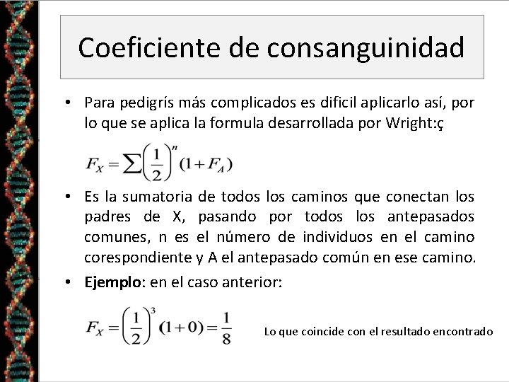 Coeficiente de consanguinidad • Para pedigrís más complicados es dificil aplicarlo así, por lo
