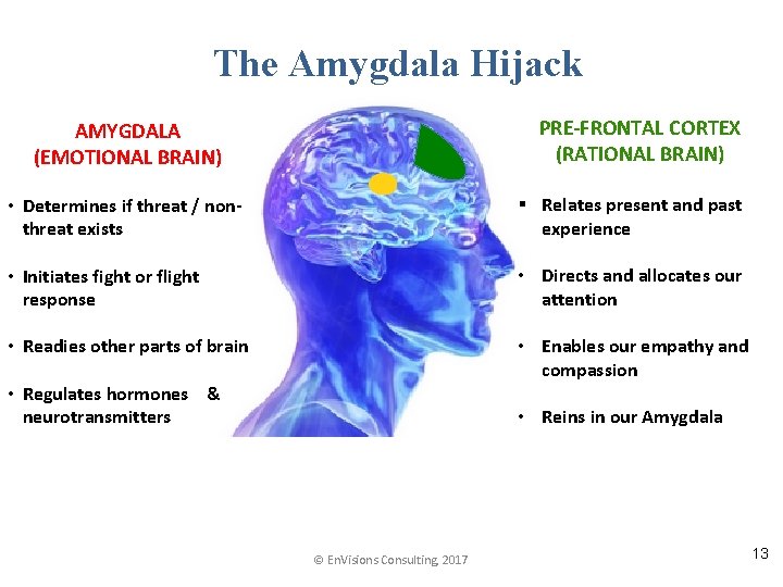 The Amygdala Hijack PRE-FRONTAL CORTEX (RATIONAL BRAIN) AMYGDALA (EMOTIONAL BRAIN) • Determines if threat