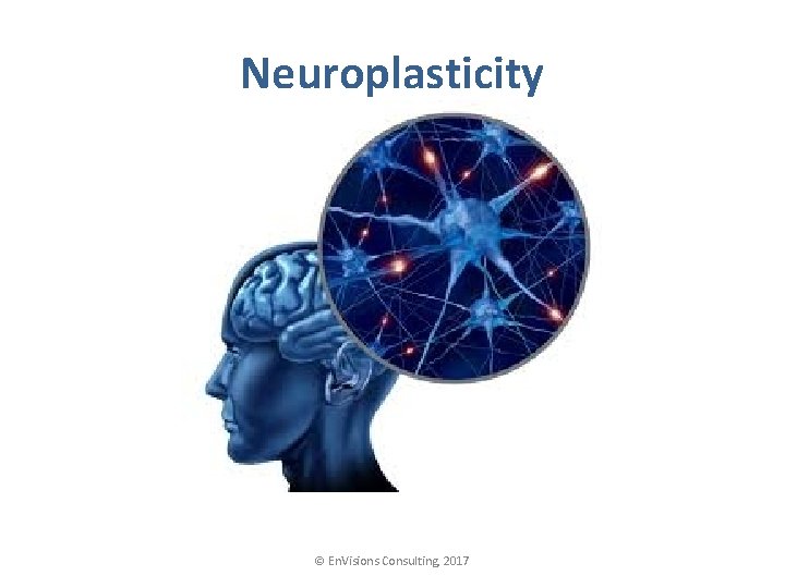 Neuroplasticity © En. Visions Consulting, 2017 