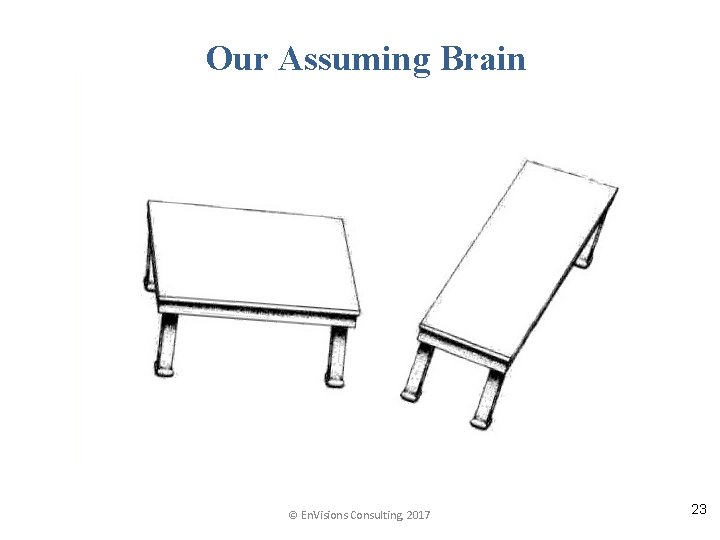 Our Assuming Brain © En. Visions Consulting, 2017 23 