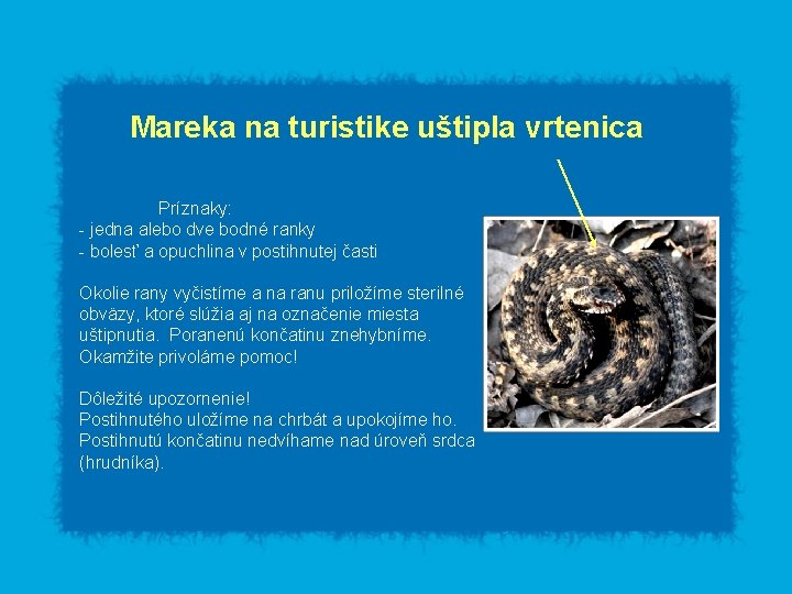 Mareka na turistike uštipla vrtenica Príznaky: - jedna alebo dve bodné ranky - bolesť