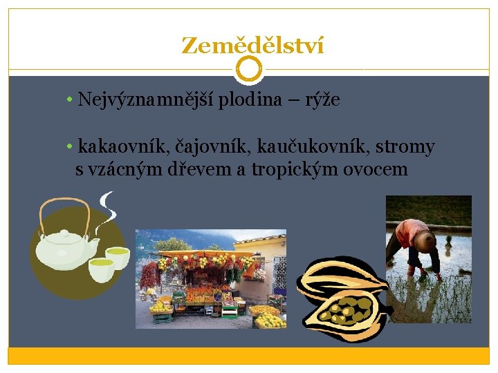 Zemědělství • Nejvýznamnější plodina – rýže • kakaovník, čajovník, kaučukovník, stromy s vzácným dřevem Zemědělství • Nejvýznamnější plodina – rýže • kakaovník, čajovník, kaučukovník, stromy s vzácným dřevem