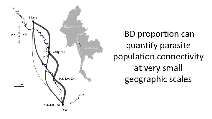 IBD proportion can quantify parasite population connectivity at very small geographic scales 