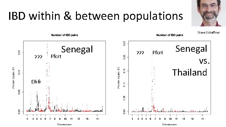 IBD within & between populations Steve Schaffner ? ? ? Dhfr Senegal Pfcrt ?