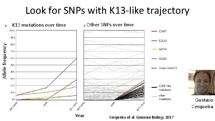 Look for SNPs with K 13 -like trajectory Other SNPs over time Allele frequency