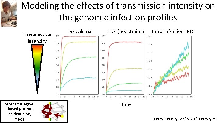 Modeling the effects of transmission intensity on the genomic infection profiles Transmission Intensity Stochastic