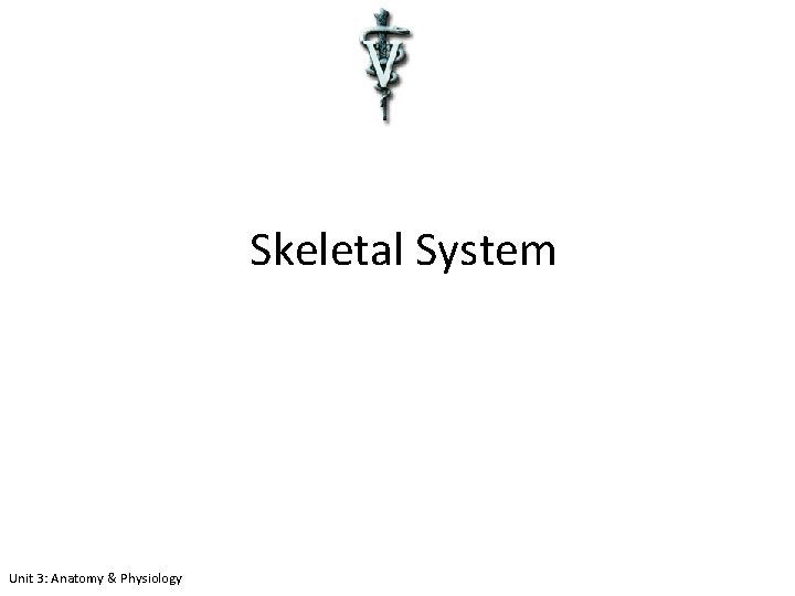 Skeletal System Unit 3: Anatomy & Physiology 