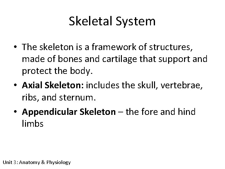 Skeletal System • The skeleton is a framework of structures, made of bones and