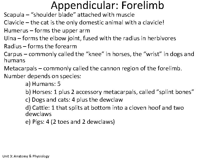 Appendicular: Forelimb Scapula – “shoulder blade” attached with muscle Clavicle – the cat is
