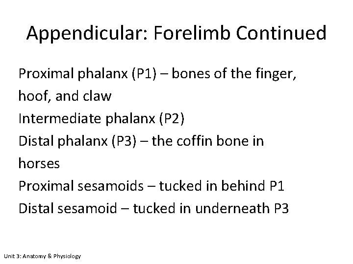 Appendicular: Forelimb Continued Proximal phalanx (P 1) – bones of the finger, hoof, and