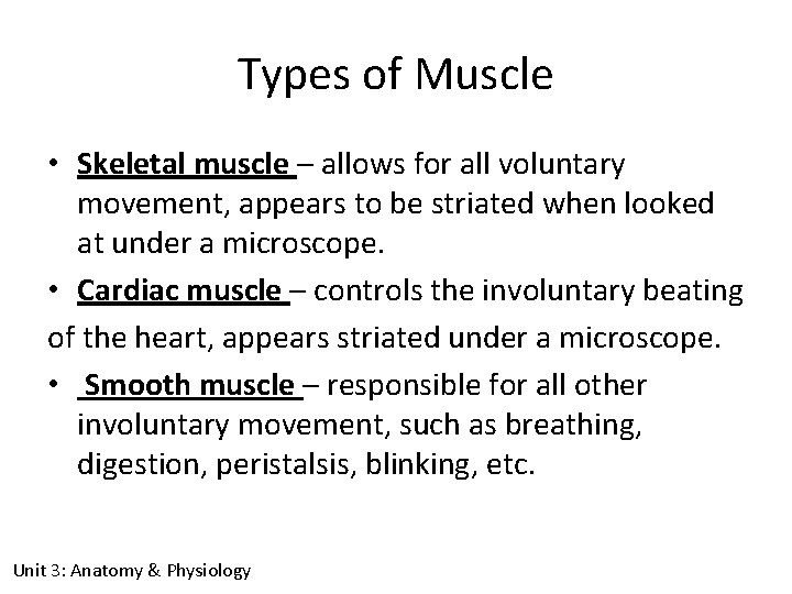Types of Muscle • Skeletal muscle – allows for all voluntary movement, appears to