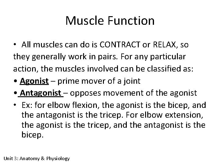 Muscle Function • All muscles can do is CONTRACT or RELAX, so they generally