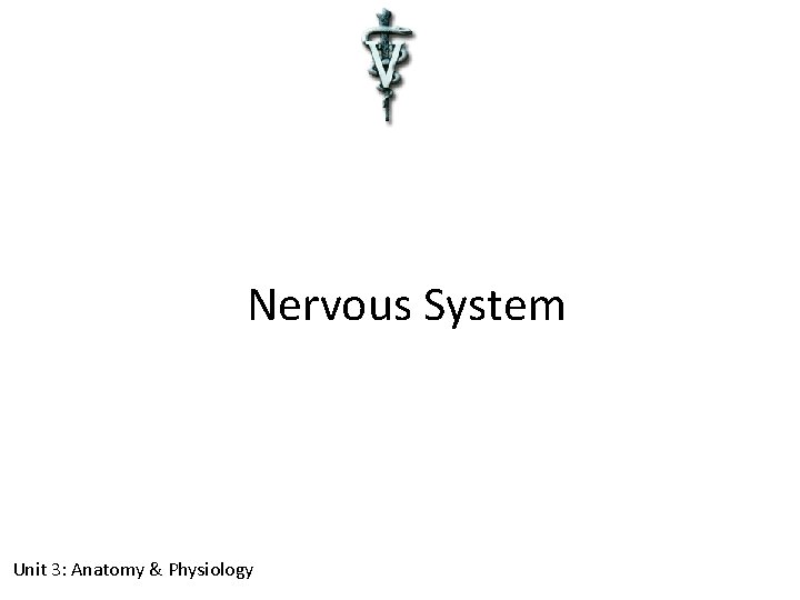Nervous System Unit 3: Anatomy & Physiology 