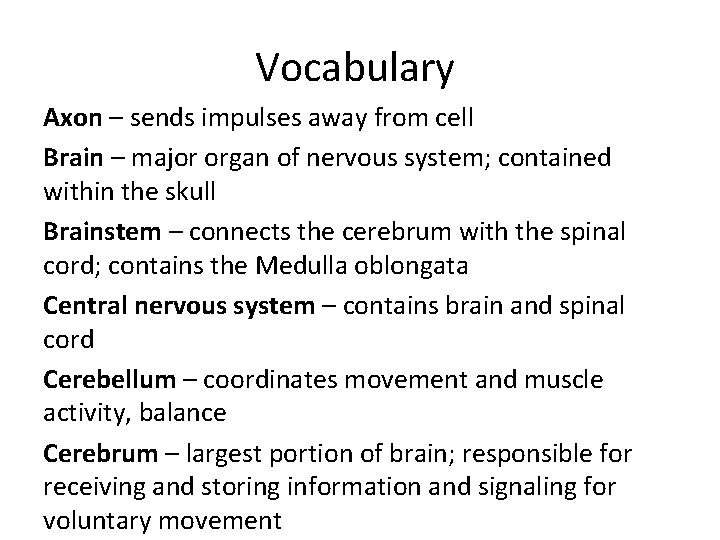 Vocabulary Axon – sends impulses away from cell Brain – major organ of nervous