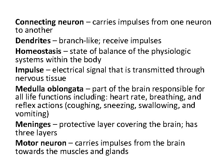 Connecting neuron – carries impulses from one neuron to another Dendrites – branch-like; receive