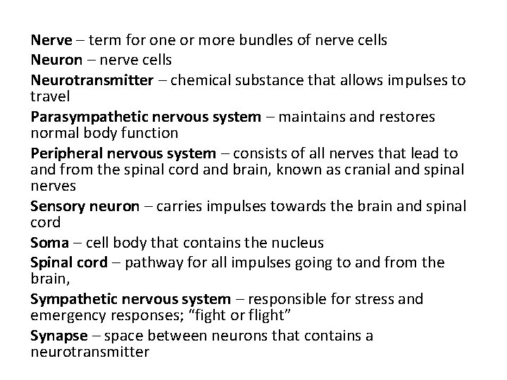 Nerve – term for one or more bundles of nerve cells Neuron – nerve