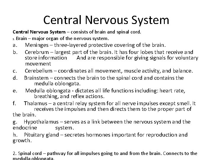 Central Nervous System – consists of brain and spinal cord. 1. Brain – major
