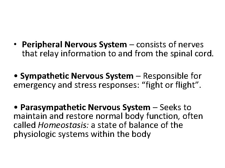  • Peripheral Nervous System – consists of nerves that relay information to and