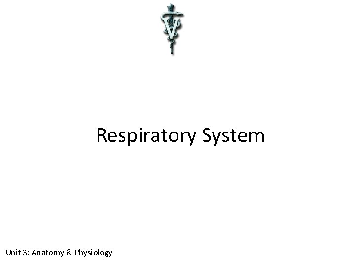 Respiratory System Unit 3: Anatomy & Physiology 