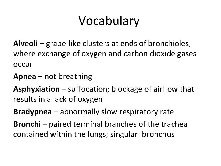 Vocabulary Alveoli – grape-like clusters at ends of bronchioles; where exchange of oxygen and