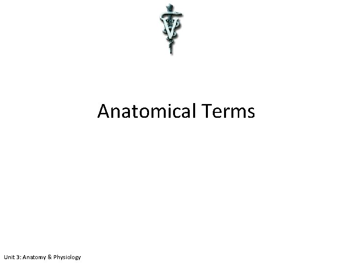 Anatomical Terms Unit 3: Anatomy & Physiology 