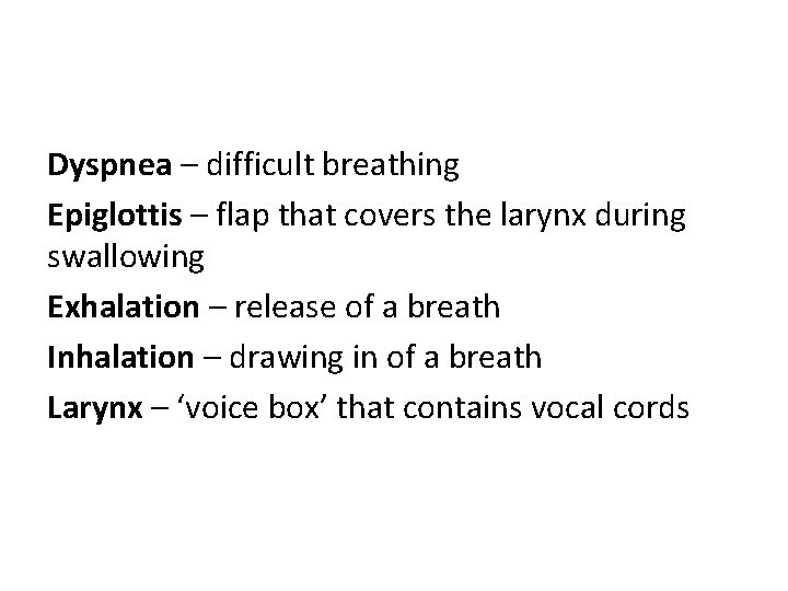 Dyspnea – difficult breathing Epiglottis – flap that covers the larynx during swallowing Exhalation