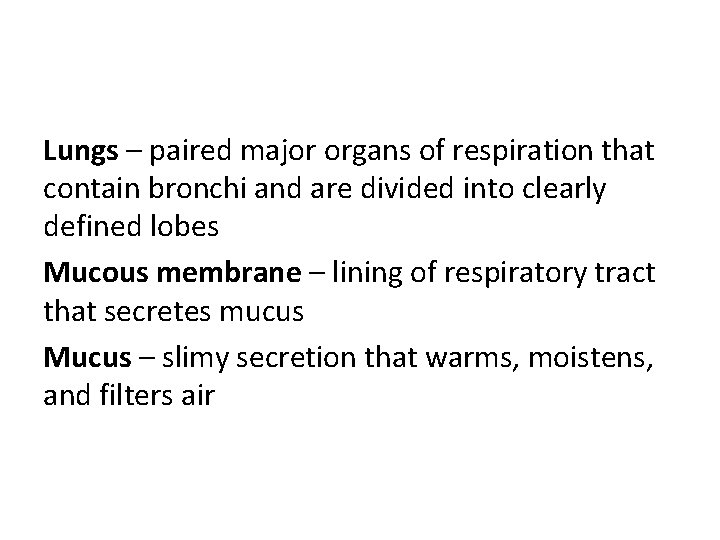 Lungs – paired major organs of respiration that contain bronchi and are divided into