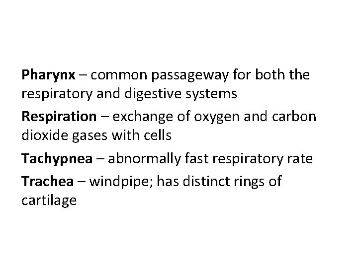Pharynx – common passageway for both the respiratory and digestive systems Respiration – exchange