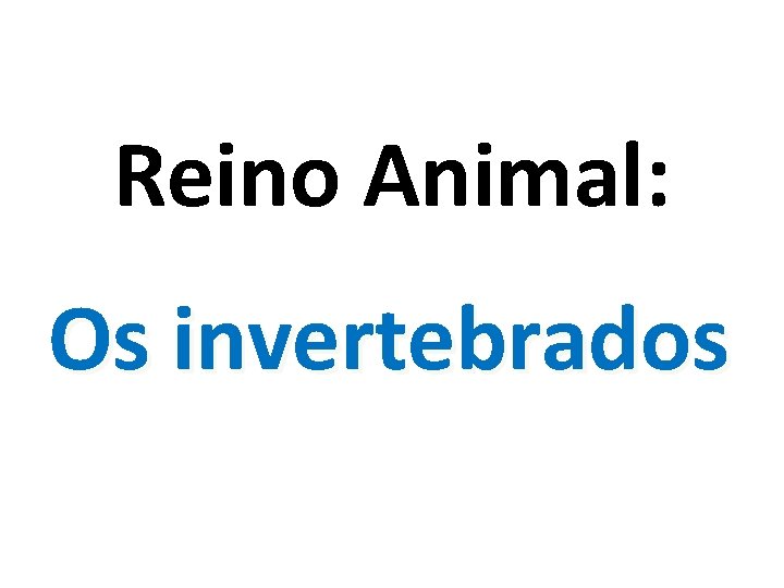 Reino Animal: Os invertebrados 