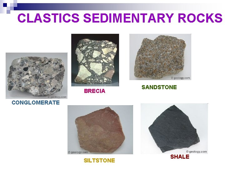 CLASTICS SEDIMENTARY ROCKS BRECIA SANDSTONE CONGLOMERATE SILTSTONE SHALE 