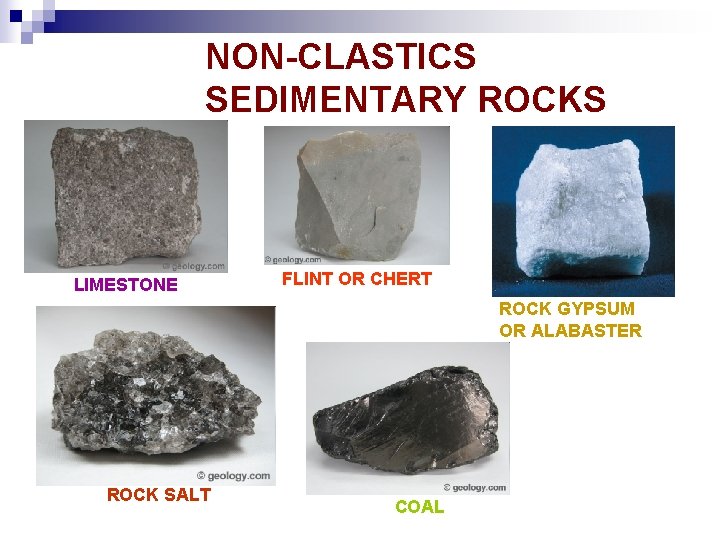 NON-CLASTICS SEDIMENTARY ROCKS LIMESTONE FLINT OR CHERT ROCK GYPSUM OR ALABASTER ROCK SALT COAL