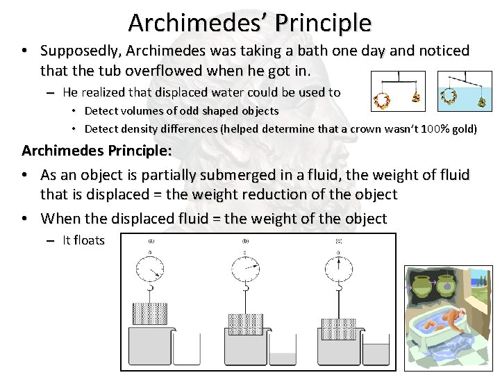 Archimedes’ Principle • Supposedly, Archimedes was taking a bath one day and noticed that