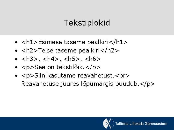 Tekstiplokid • • • <h 1>Esimese taseme pealkiri</h 1> <h 2>Teise taseme pealkiri</h 2>