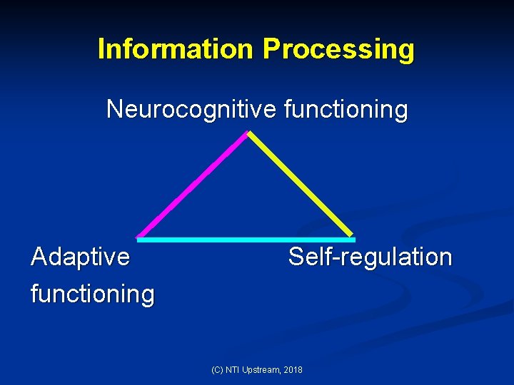 Information Processing Neurocognitive functioning Adaptive functioning Self-regulation (C) NTI Upstream, 2018 